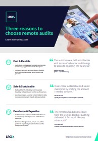 Remote Audit Infographic 