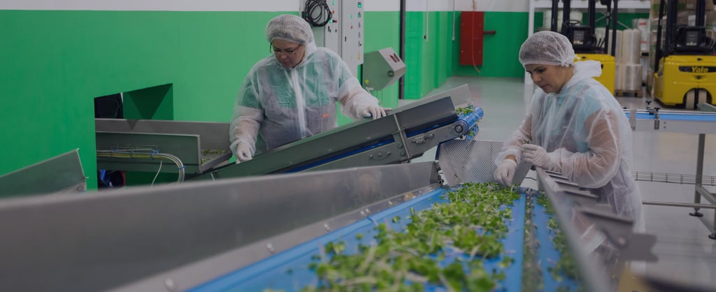 BRCGS webinar header