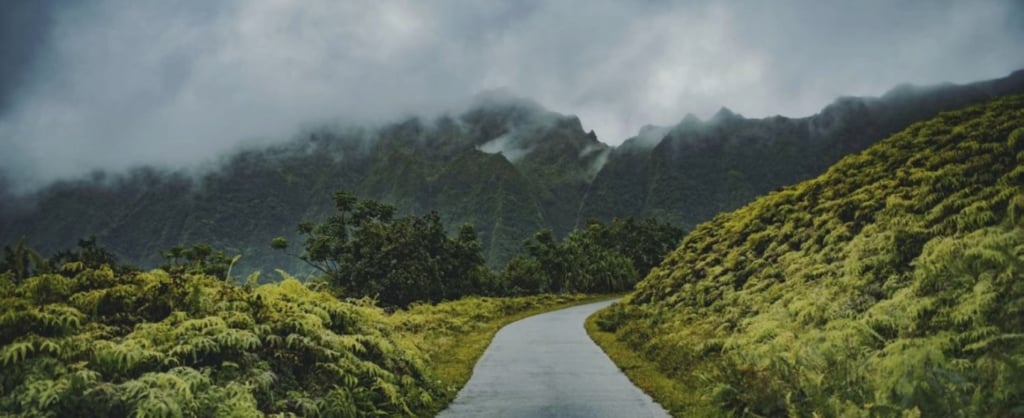 Road through the green mountains