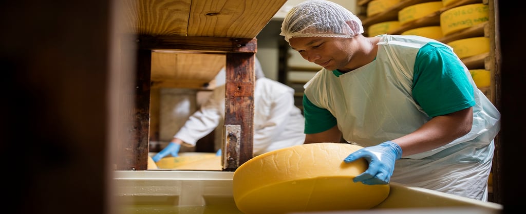 safe_quality_food_cheese_factory