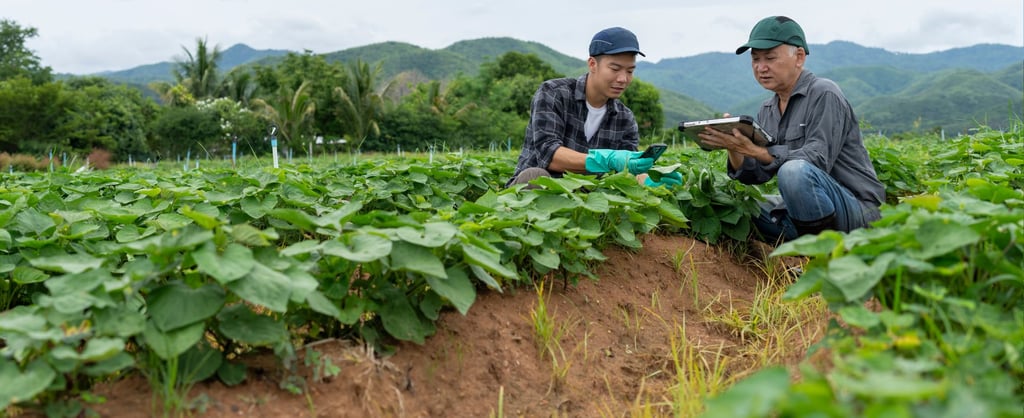 SMETA Zertifizierung