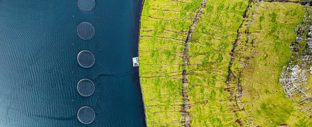 Aerial view of fishing tanks along the fjord