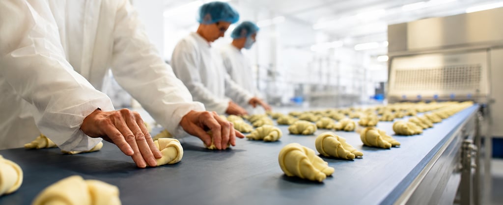Worker shaping croissant dough on a production line in a commercial bakery.