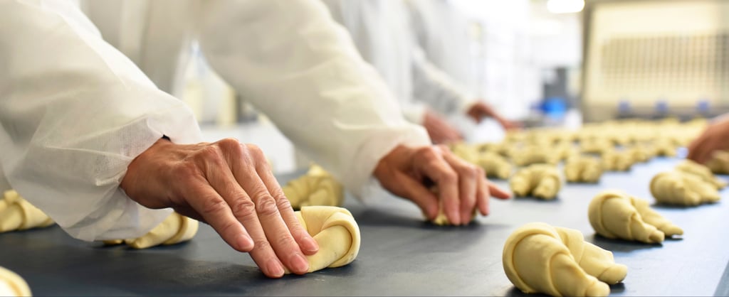 Workers placing croissant dough on a production line in a commercial bakery.
