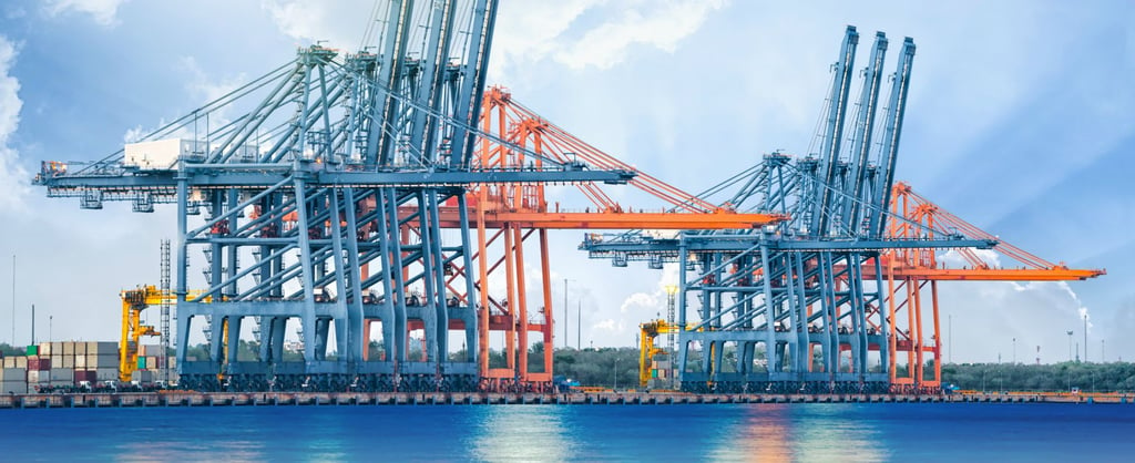 Port crane inspection