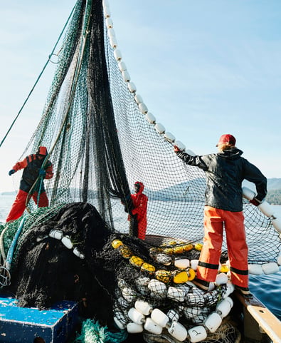 Men fishing at sea on their boat