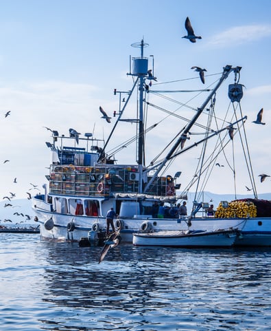 Fishing boat and birds in the sky