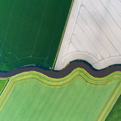 Irrigated Fields