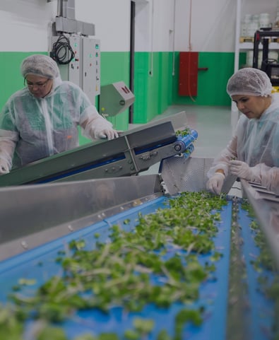 BRCGS webinar grid block