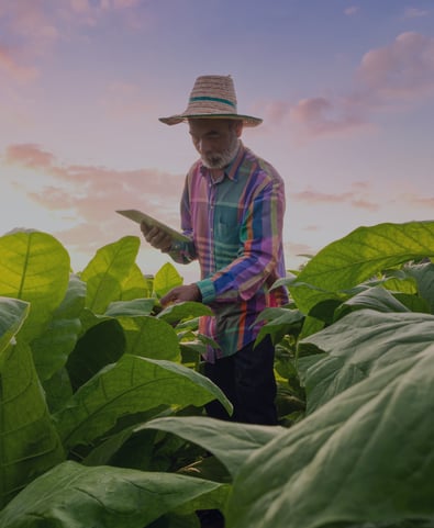 Risk report grid block