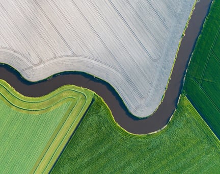 Irrigation fields