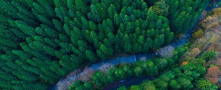 ISO 14001 PDF