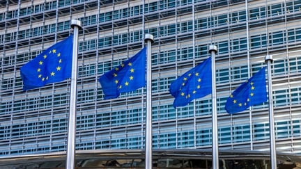 European Union Flags
