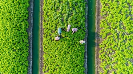 Sustainability