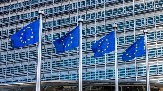 European Union Flags