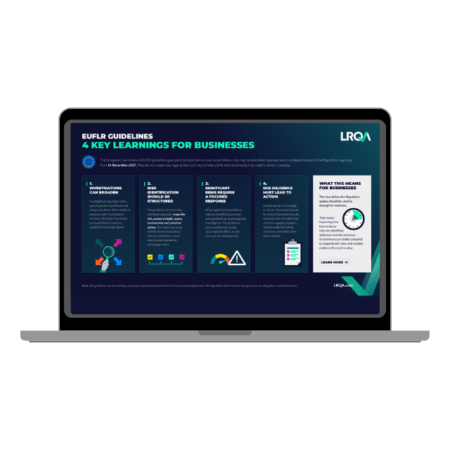 The key learnings infographic 