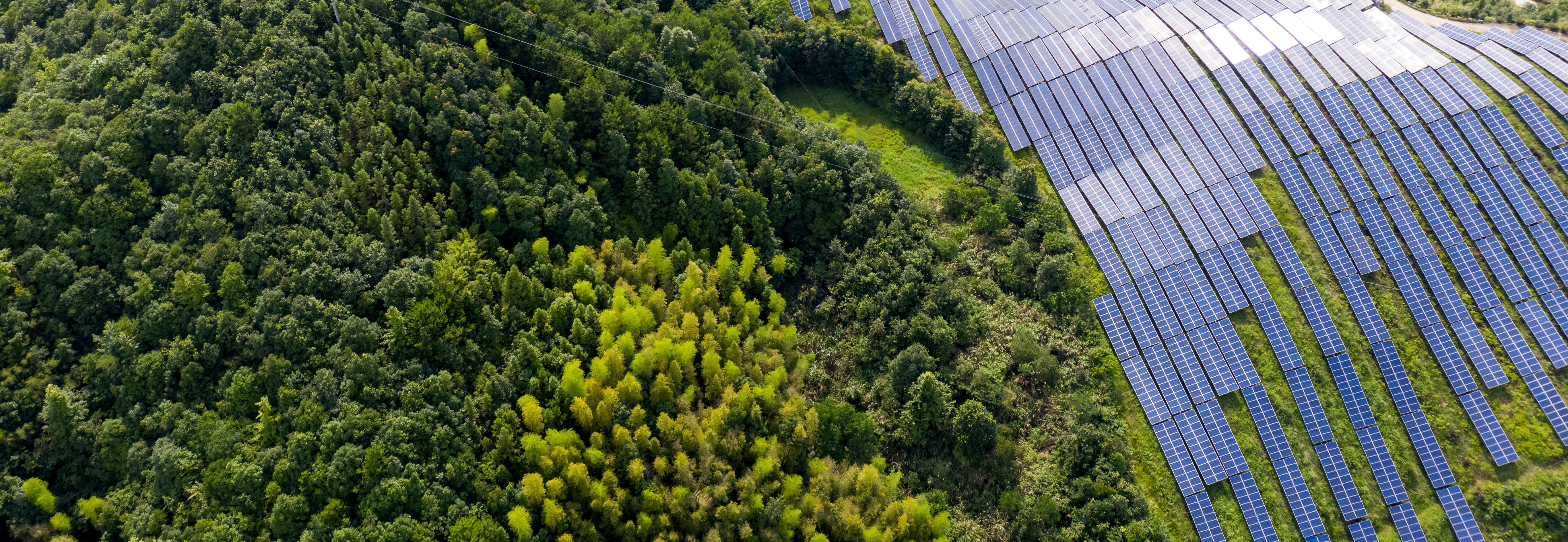 solar-panels-hills-cropped.jpg