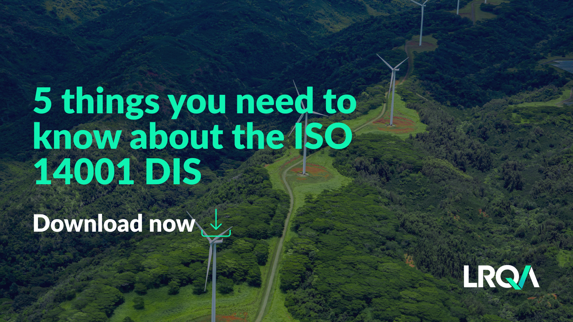 5 things to know ISO 14001 datasheet